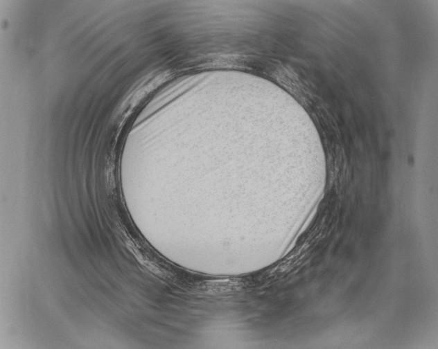 X0000062870050200602031727