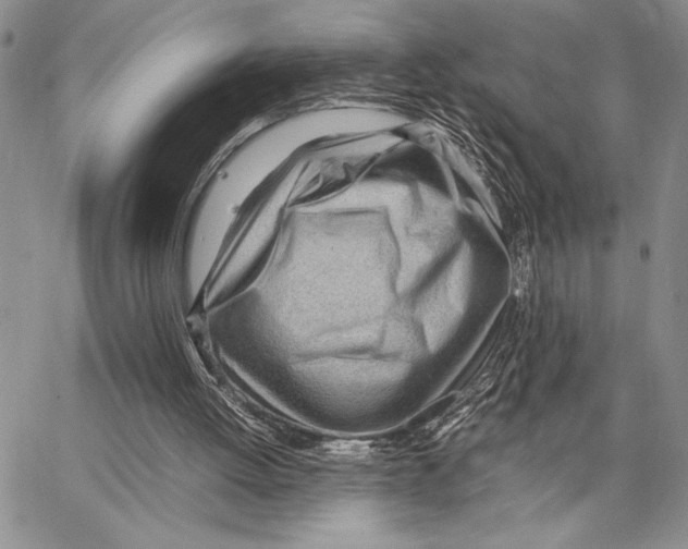 X0000062870052200602031727