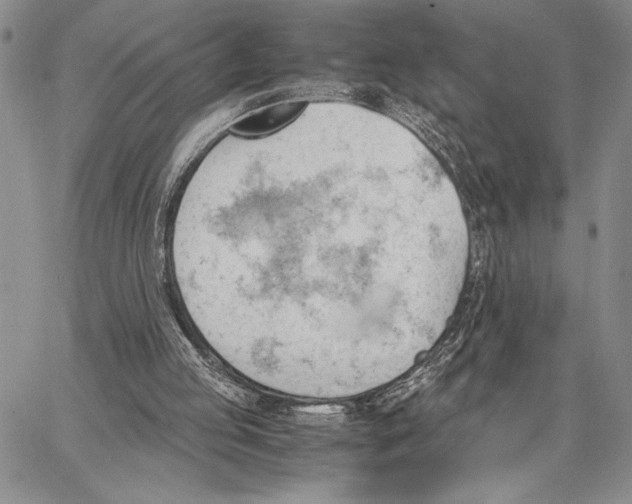 X0000062870053200602031727