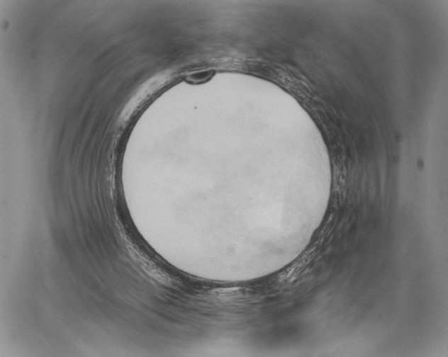 X0000062870054200602031727