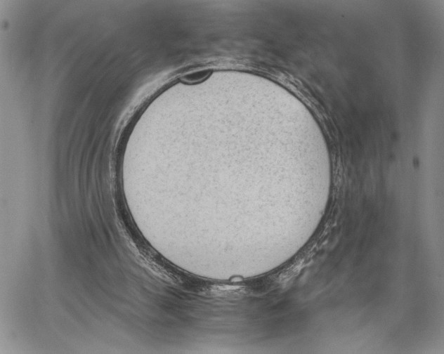 X0000062870055200602031727