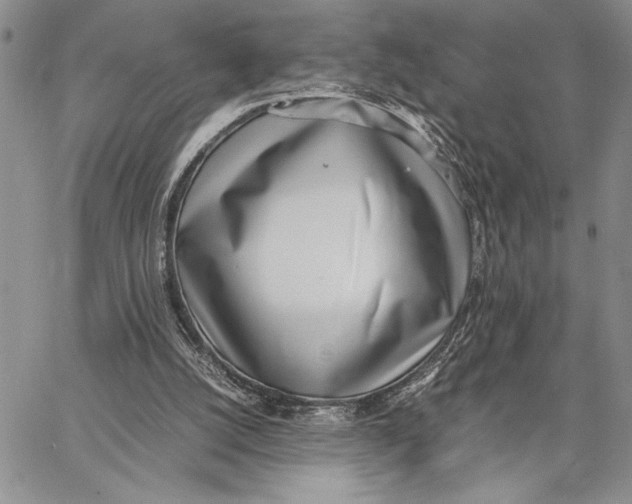 X0000062870056200602031727