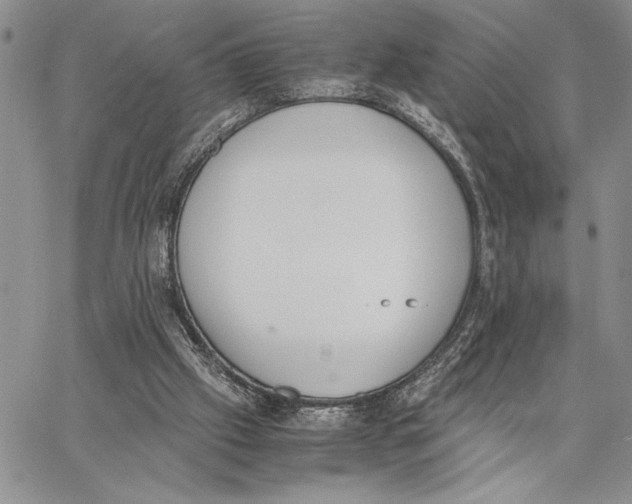 X0000062870057200602031727