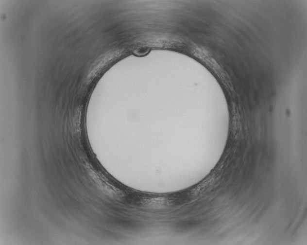 X0000062870058200602031727