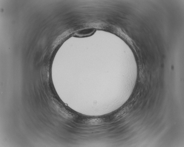 X0000062870059200602031727