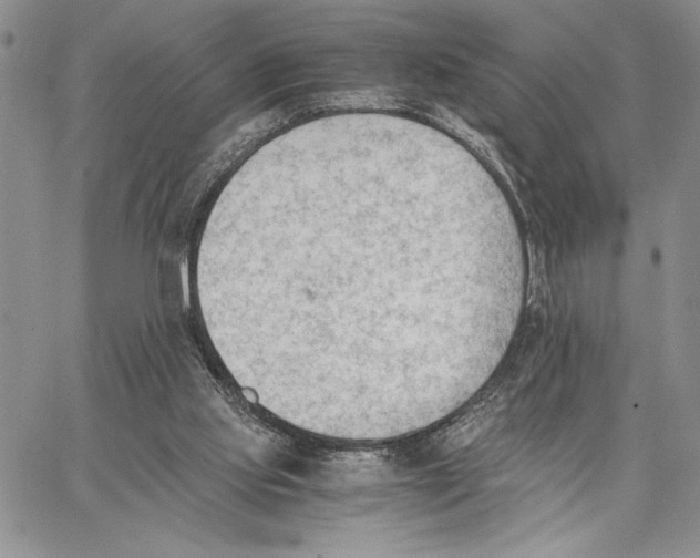 X0000062870061200602031727