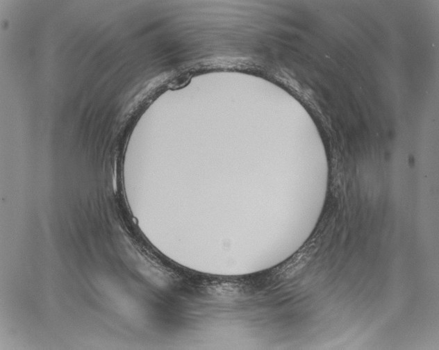 X0000062870062200602031727