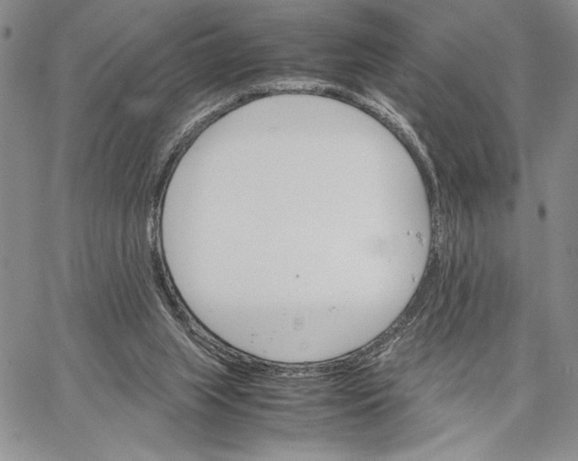 X0000062870063200602031727