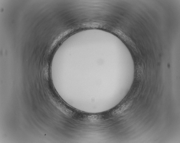 X0000062870064200602031727