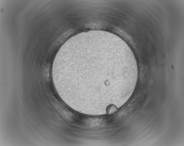 X0000062870065200602031727