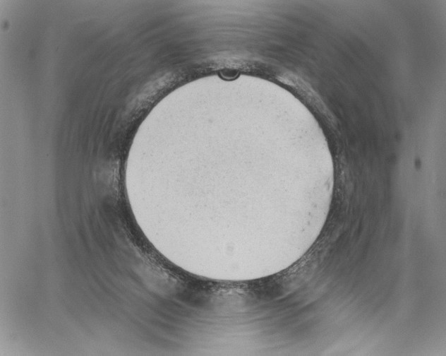 X0000062870066200602031727