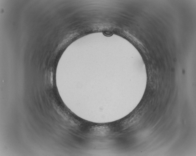 X0000062870067200602031727