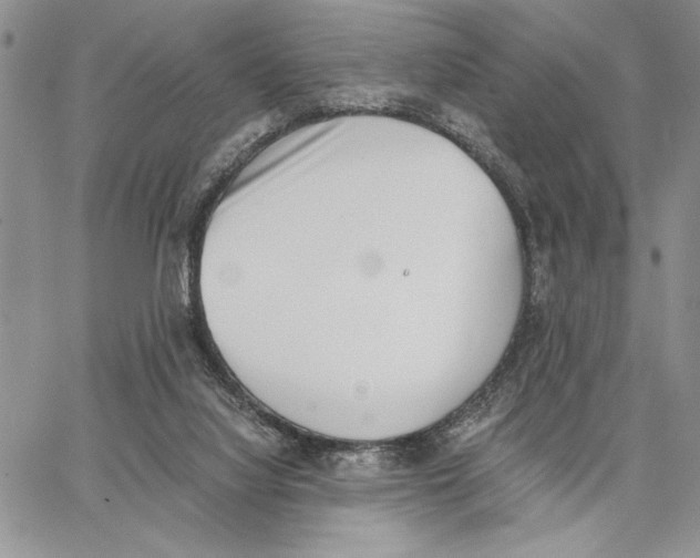 X0000062870068200602031727