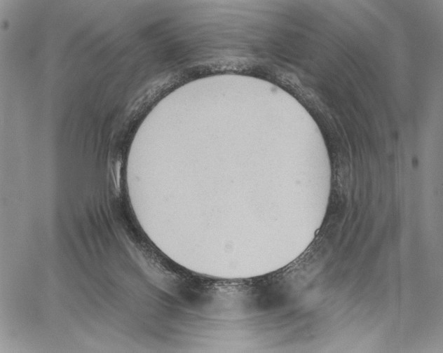 X0000062870070200602031727