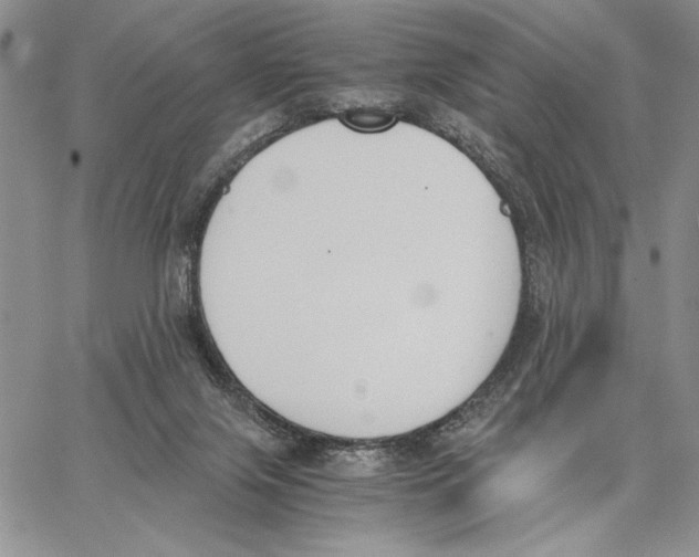 X0000062870071200602031727