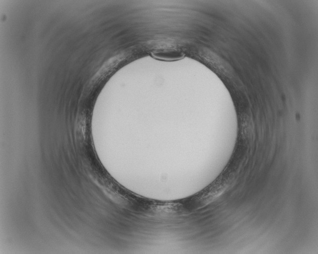 X0000062870072200602031727