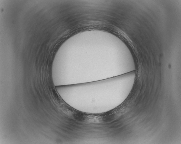 X0000062870073200602031727