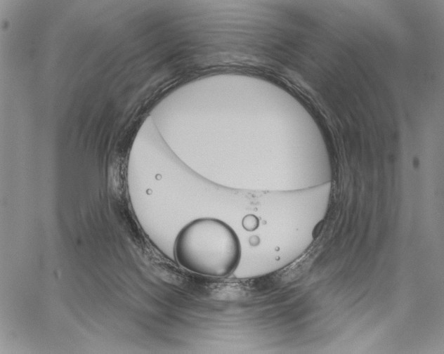 X0000062870074200602031727