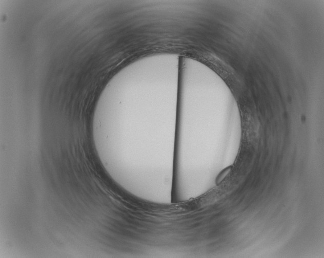 X0000062870075200602031727