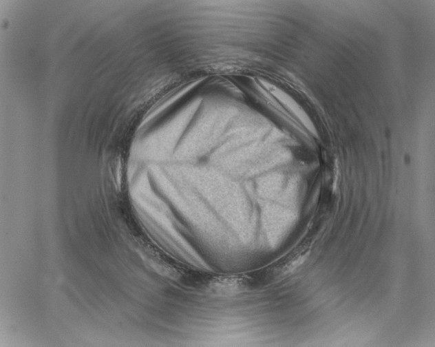 X0000062870076200602031727