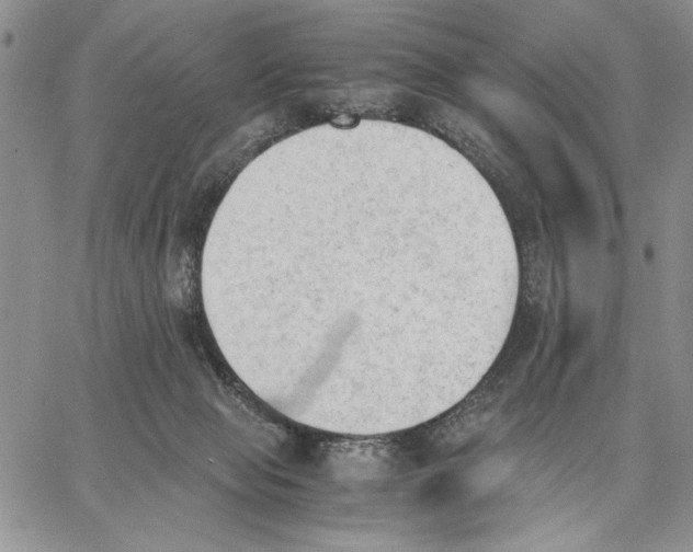 X0000062870077200602031727