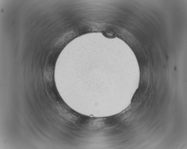 X0000062870078200602031727