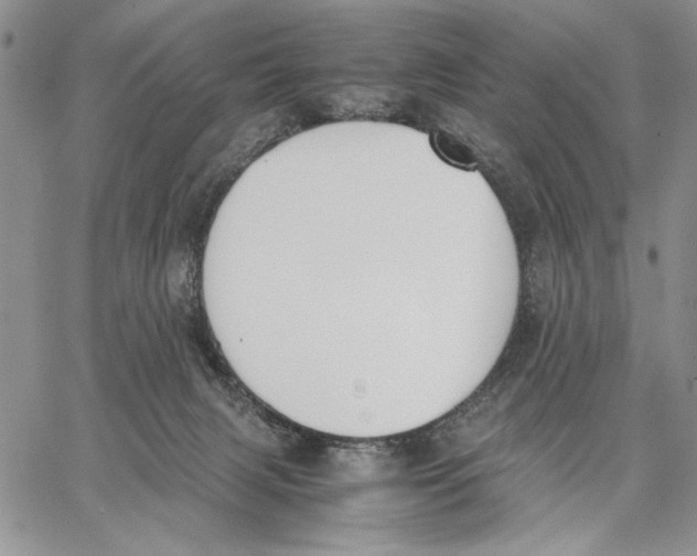 X0000062870079200602031727