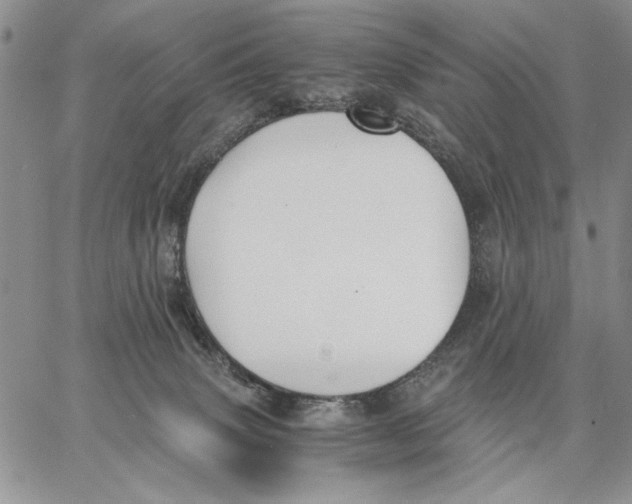 X0000062870083200602031727