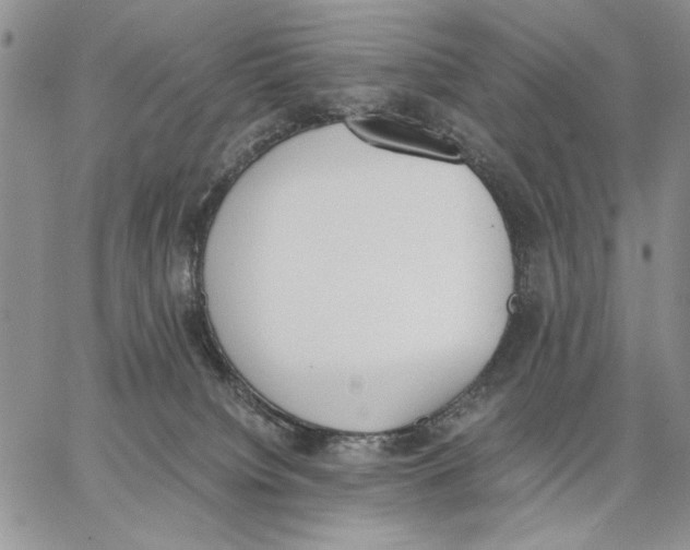 X0000062870084200602031727