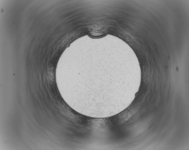 X0000062870085200602031727