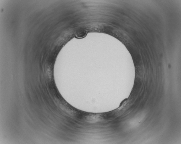 X0000062870086200602031727