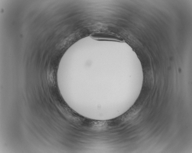 X0000062870088200602031727