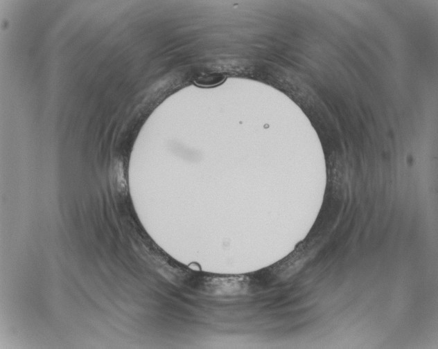 X0000062870089200602031727