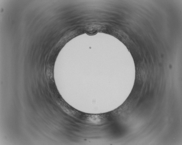 X0000062870091200602031727