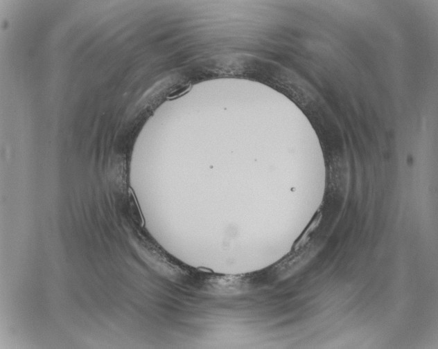 X0000062870092200602031727