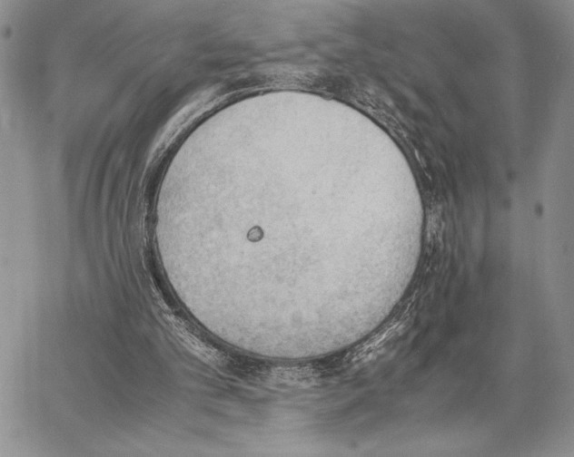 X0000062870101200602031727