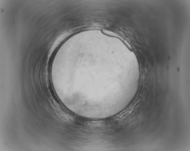 X0000062870102200602031727