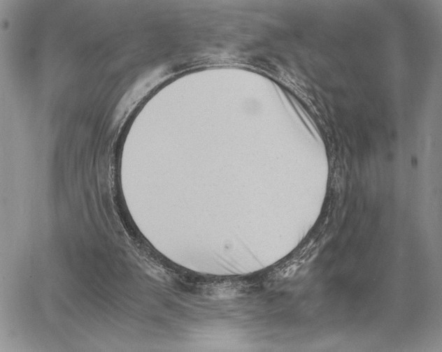 X0000062870103200602031727