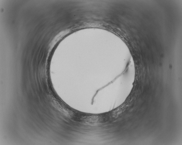 X0000062870104200602031727