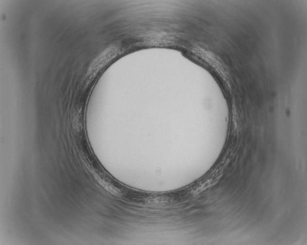 X0000062870105200602031726