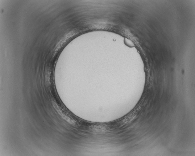 X0000062870106200602031726