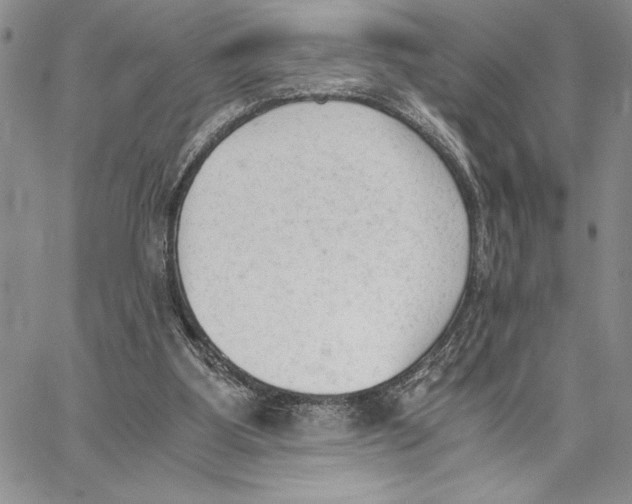 X0000062870107200602031726