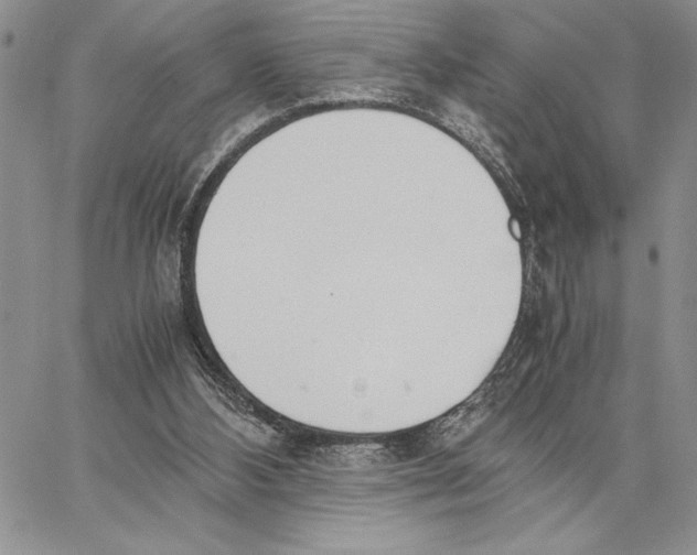 X0000062870108200602031726