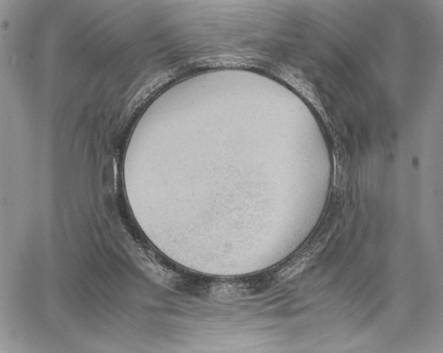 X0000062870109200602031726