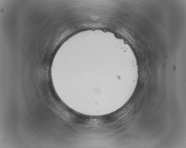 X0000062870111200602031726