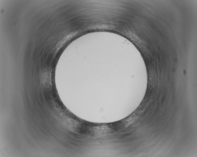 X0000062870112200602031726