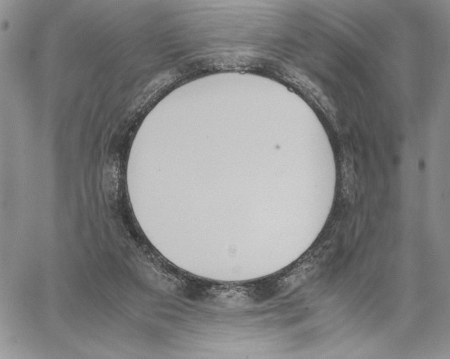 X0000062870113200602031726