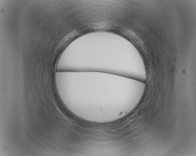 X0000062870115200602031726