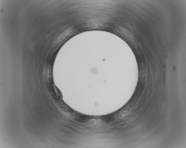 X0000062870119200602031726