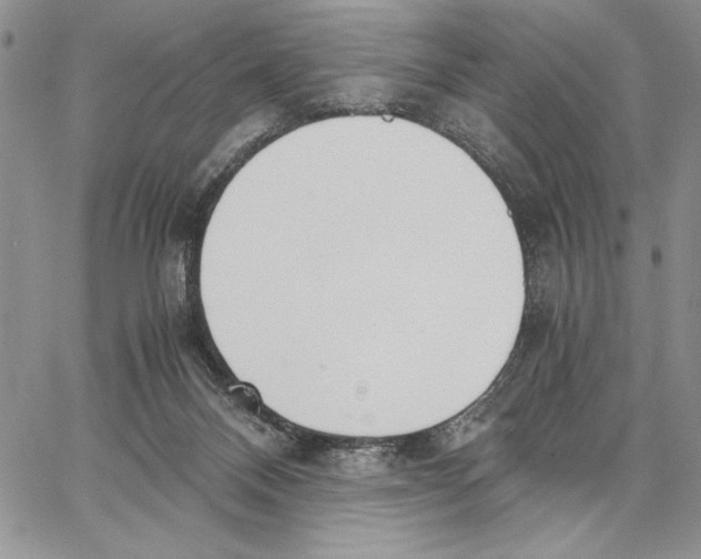 X0000062870120200602031726